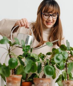 Plantas más fáciles de cuidar: son bonitas y perfectas para principiantes