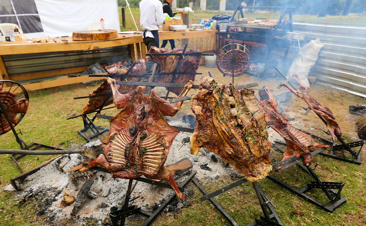 Festival Asado y Vino