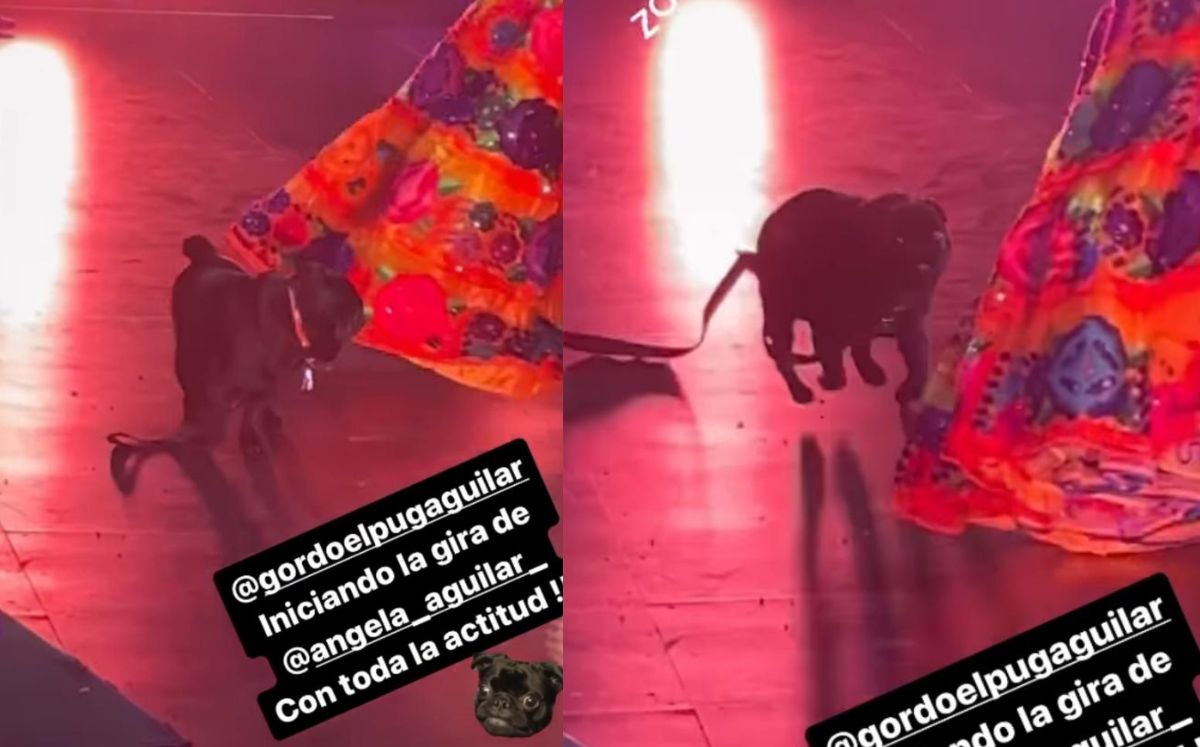 Ángela Aguilar es interrumpida por su perro en el Piensa en Mí Tour
