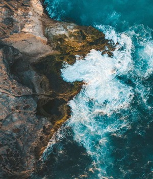 ¿Por qué son importantes los océanos y cómo podemos cuidarlos? / Foto: Cortesía