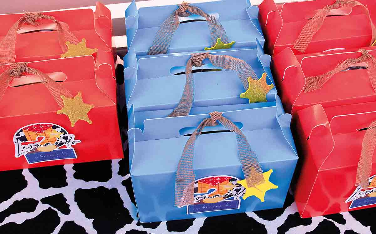 Toy Story details!