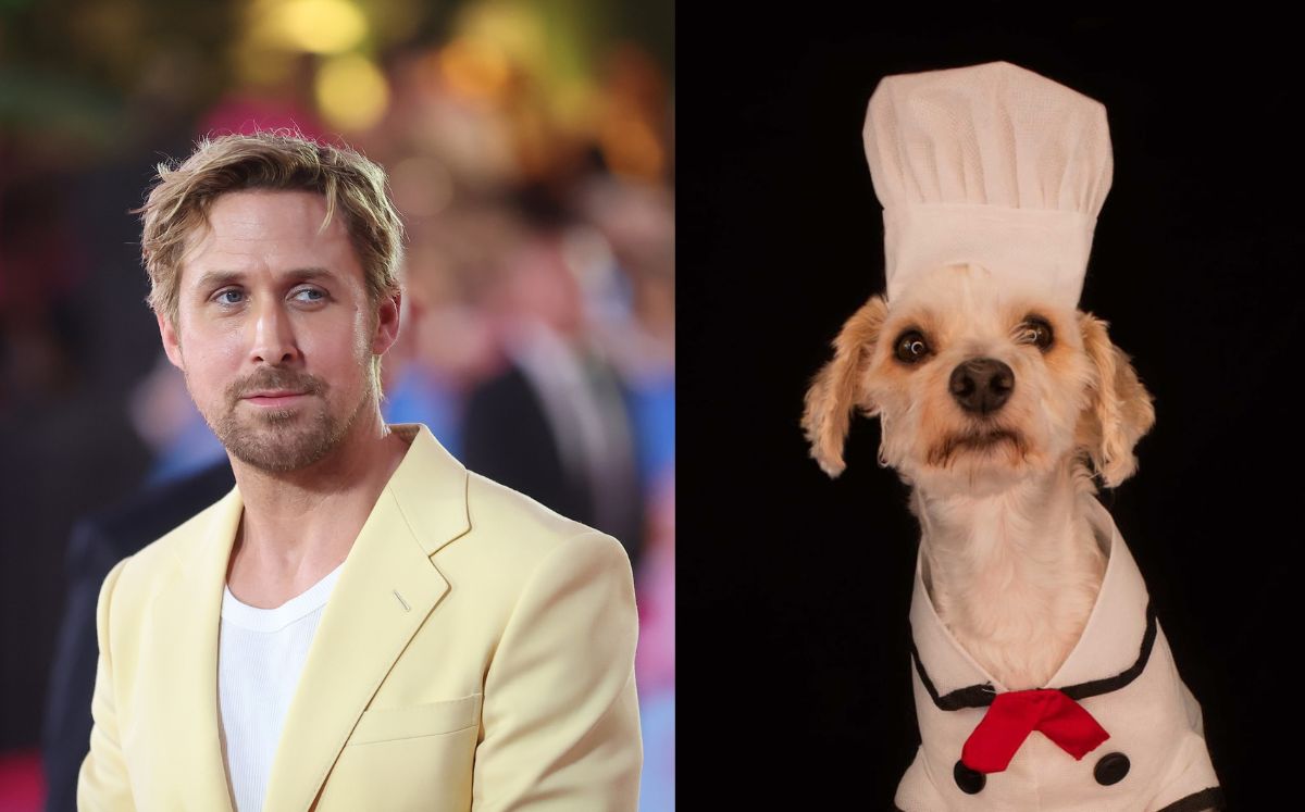 Ryan Gosling le mandó saludos a un perrito de México | Video (Getty Images/ Leslie Flores)