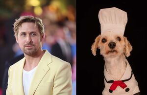 Ryan Gosling le mandó saludos a un perrito de México | Video (Getty Images/ Leslie Flores)