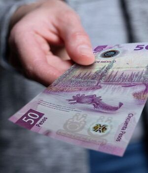 El billete de 50 pesos que puede venderse en 3 millones (Foto: Shutterstock)