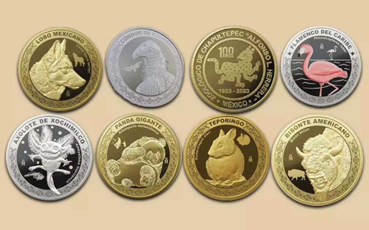 Monedas de 100 pesos del Zoológico de Chapultepec: ¿Cómo son? (Casa de las monedas)
