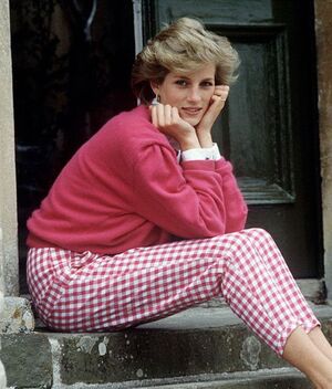 Cuál fue la profesión de la princesa Diana antes de casarse: getty images