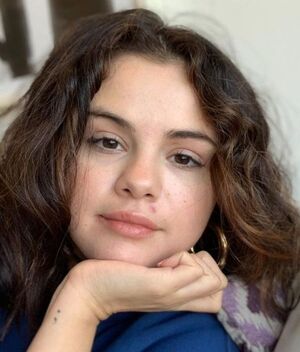 Selena Gomez ama sus curvas con bikini de varilla (Foto: Instagram)