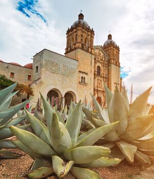 Cómo capturar la magia de Oaxaca con tu celular (Foto. Getty)