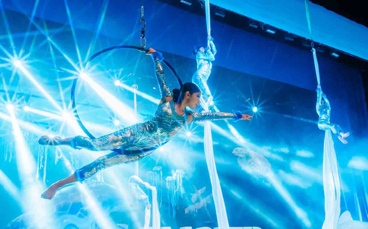 Elenco de STARDANCER en danza aérea