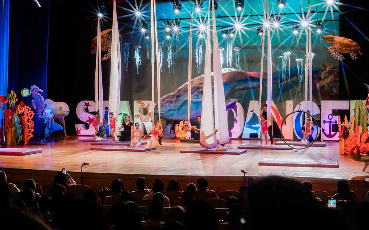 Elenco de STARDANCER en danza aérea