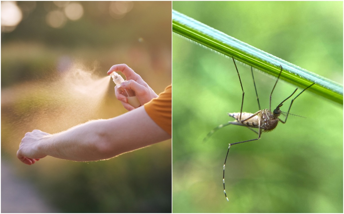 5 tips efectivos para protegerse contra el dengue (Foto: Getty)