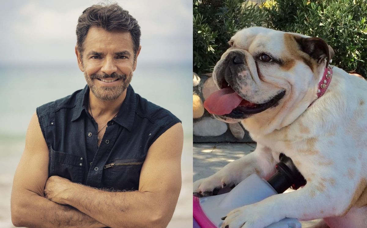 Eugenio Derbez y su familia despiden a Fiona, su perrita con ceremonia (Instagram)