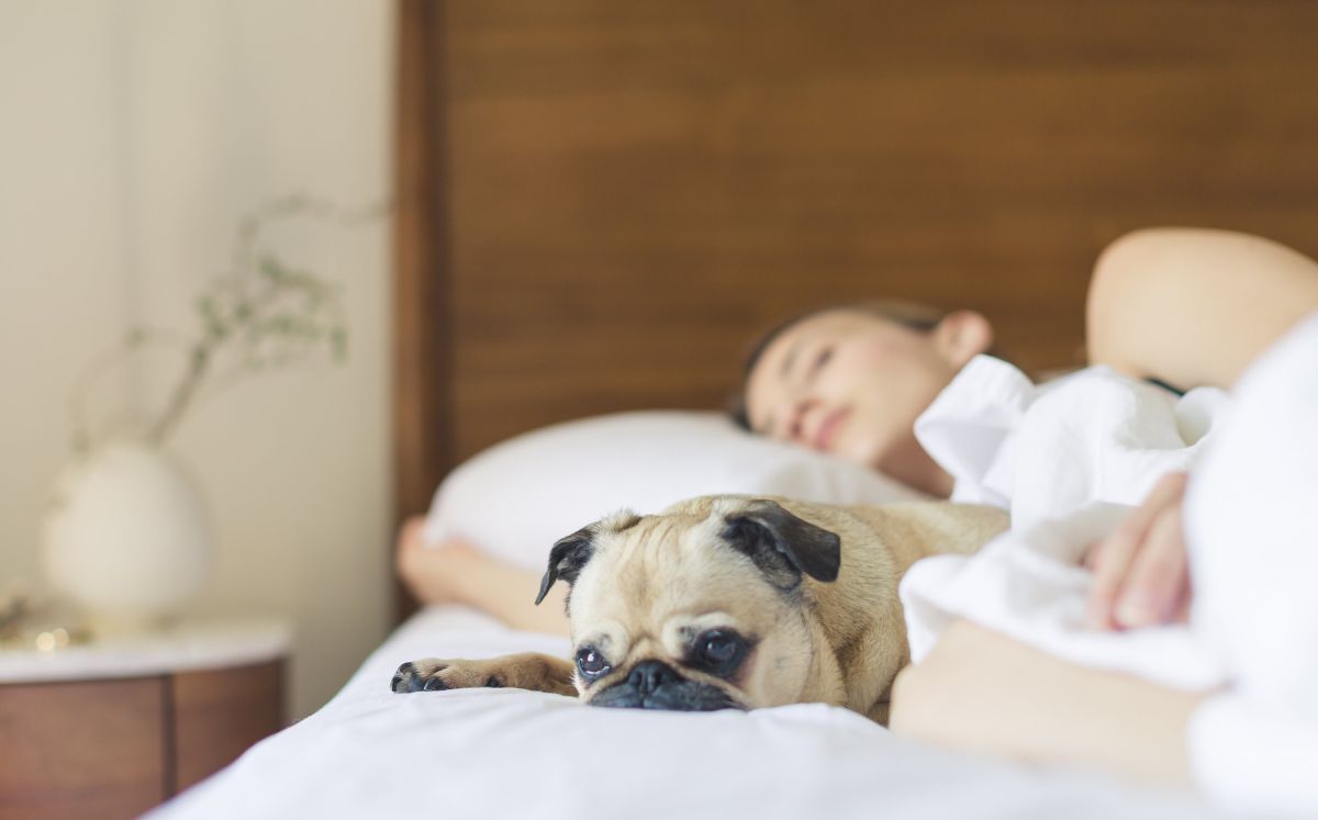 ¿Es dañino dormir mucho? Esto es lo que debes saber si duermes más de la cuenta: pexels