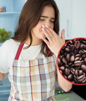 ¿Cómo usar el café para evitar malos olores en el refrigerador?: gettyimages/ pexels