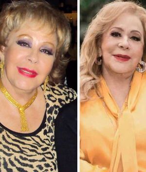 ¿Quién fue el POLÍTICO que fue esposo de Silvia Pinal?