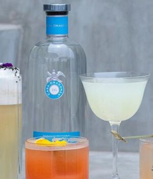 Aprende a hacer cocteles con tequila de la mano de Casa Dragones (Instagram)