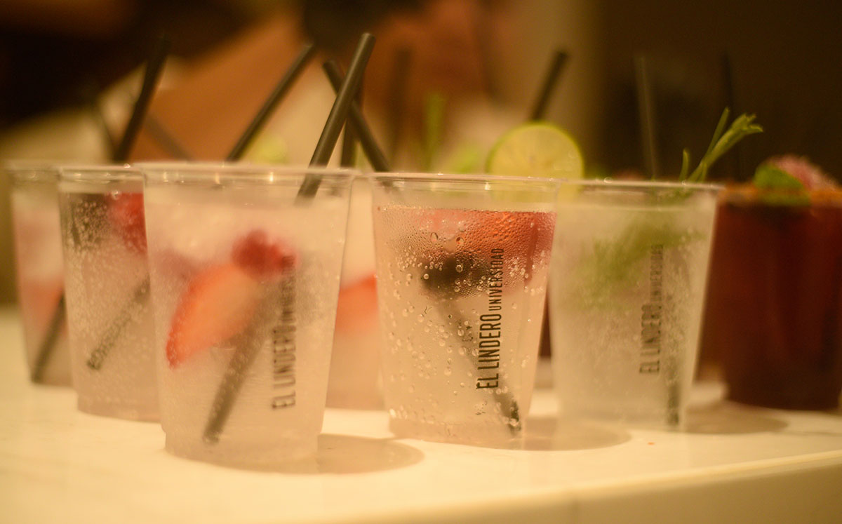 Refrescantes mezcalitas de diversos sabores