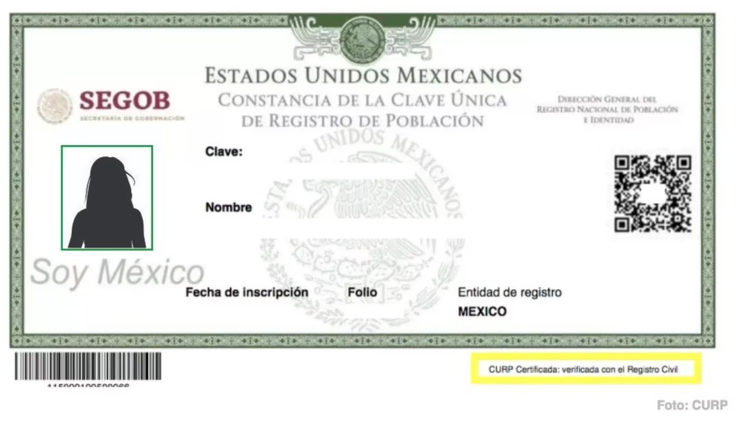 CURP con fotografía: Así se vería el nuevo documento (Foto: Instagram)
