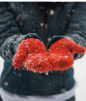 Frente frío 4 en México con temperaturas de -5º C: Estados afectados (Getty Images)