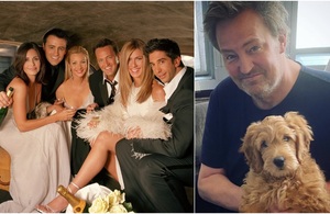 El integrante de "Friends" que busca adoptar al perrito de Mattew Perry (Foto: Instagram)