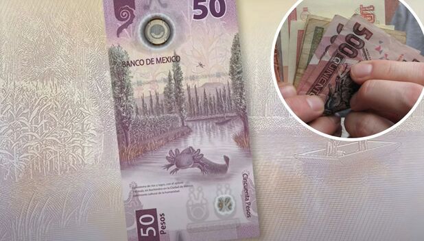 Billete de 50 pesos con el ajolote y error de impresión vale un millón (Foto: Instagram)