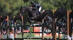 El cartel volverá a ser encabezado por la Major League Show Jumping, una destacada competencia de salto por equipos. (Cortesía)