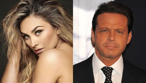 Aracely Arámbula lleva a juicio a Luis Miguel; ¿Cuándo y por qué?