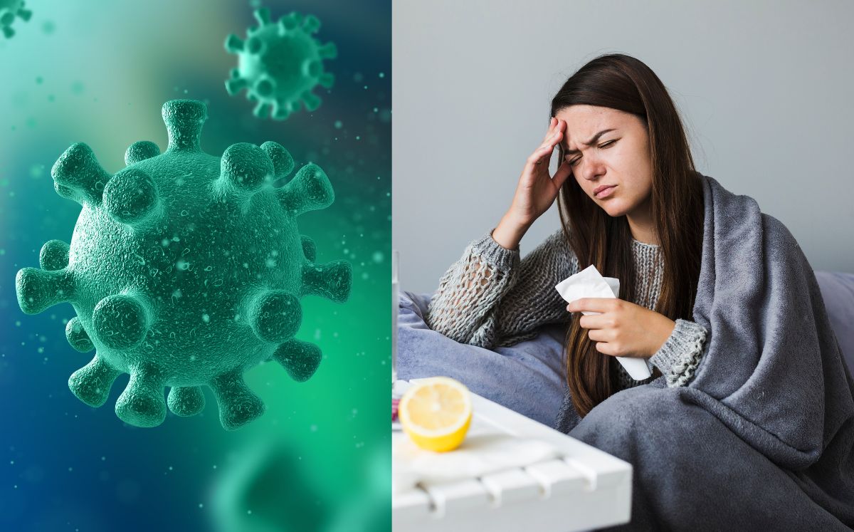 Epidemia de influenza: Estados con mayor peligro en México (Freepik)