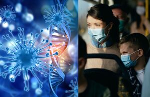 Virus Sincicial Respiratorio: ¿Quiénes corren mayor riesgo? (Freepik)
