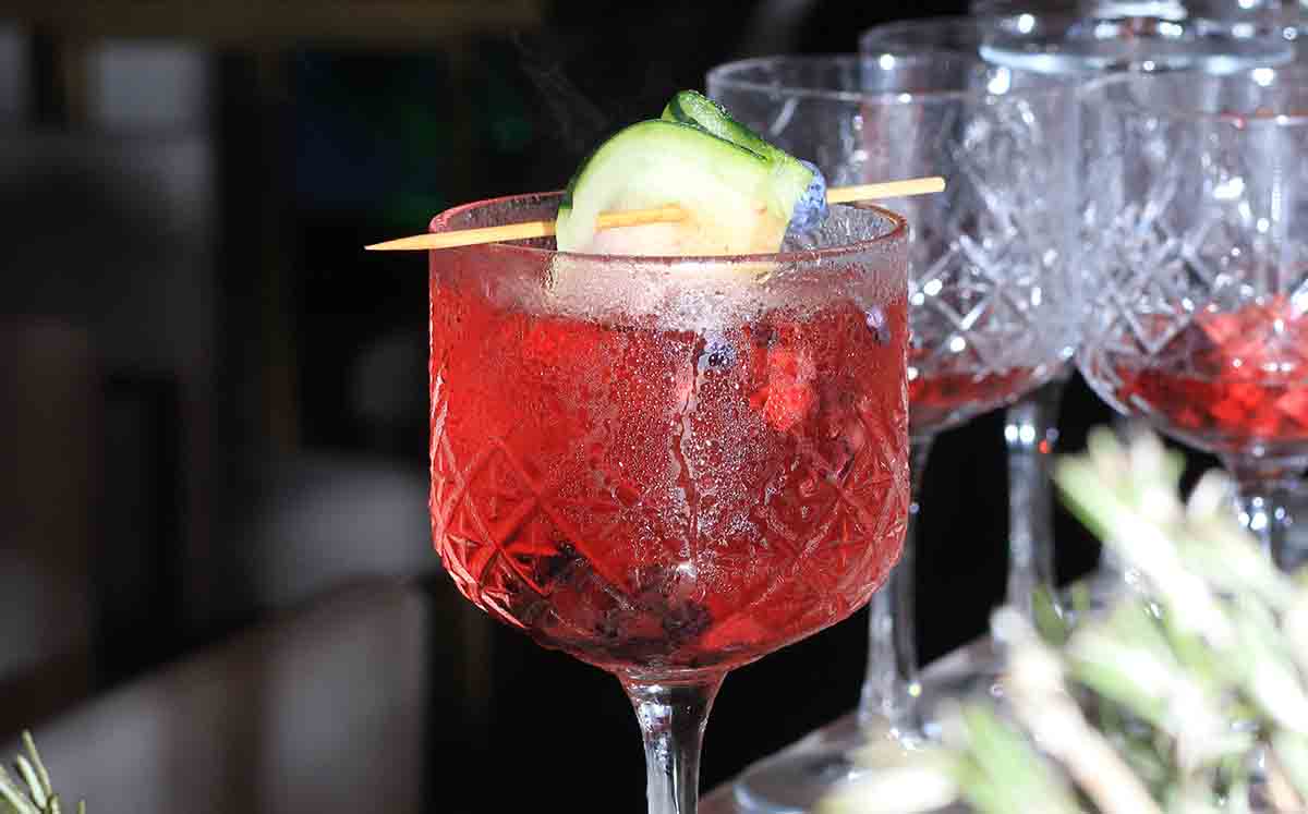 Cocteles de bienvenida de gin de frutos rojos por parte de ShakeBar