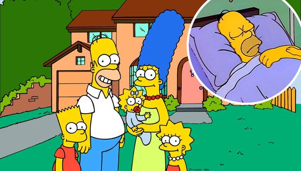 Los Simpson y la teoría de que Homero está en coma (Foto: Instagram)
