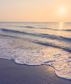 Playas más sucias en invierno 2023 según COFEPRIS; ¿Cuáles son? (Freepik)