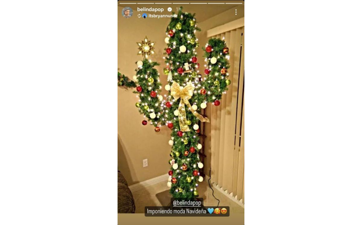 Belinda: ¿Qué significa su árbol navideño de cactus? (Instagram)