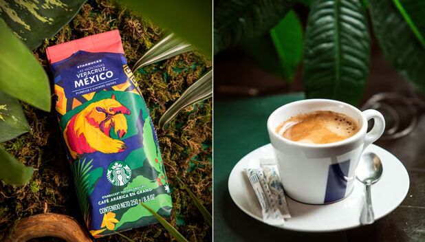 Te contamos todo lo que tienes que saber del nuevo lanzamiento de Starbucks (Foto: Freepik y Cortesía)