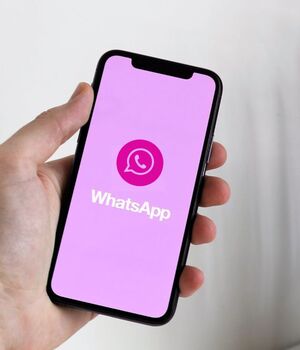 WhatsApp: ¿Cómo cambiar el color verde a rosa? (Freepik)