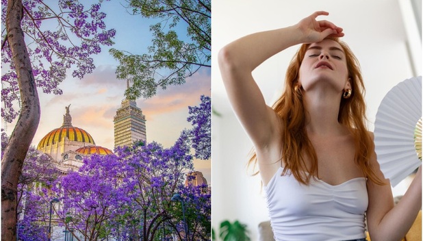 ¿Cuándo empieza a hacer calor en México este 2024? (Foto: Archivo Milenio/Freepik)