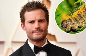 Jamie Dornan: ¿Por qué fue hospitalizado el actor? (Foto: Instagram)
