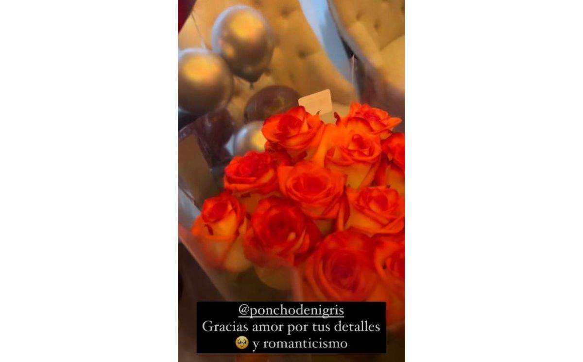 Poncho de Nigris le dio a Marcela Mistral un piano: ¿Cuánto cuesta? (Instagram)