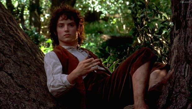 Elijah Wood: ¿Cuánto dinero ganó por "El señor de los anillos"? (Foto: IG)