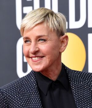 Ellen DeGeneres: ¿A qué se dedica tras dejar la televisión? (Getty Images)
