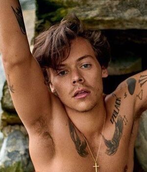 Harry Styles: ¿Cómo es su dieta y rutina de entrenamiento? (Foto: Instagram)