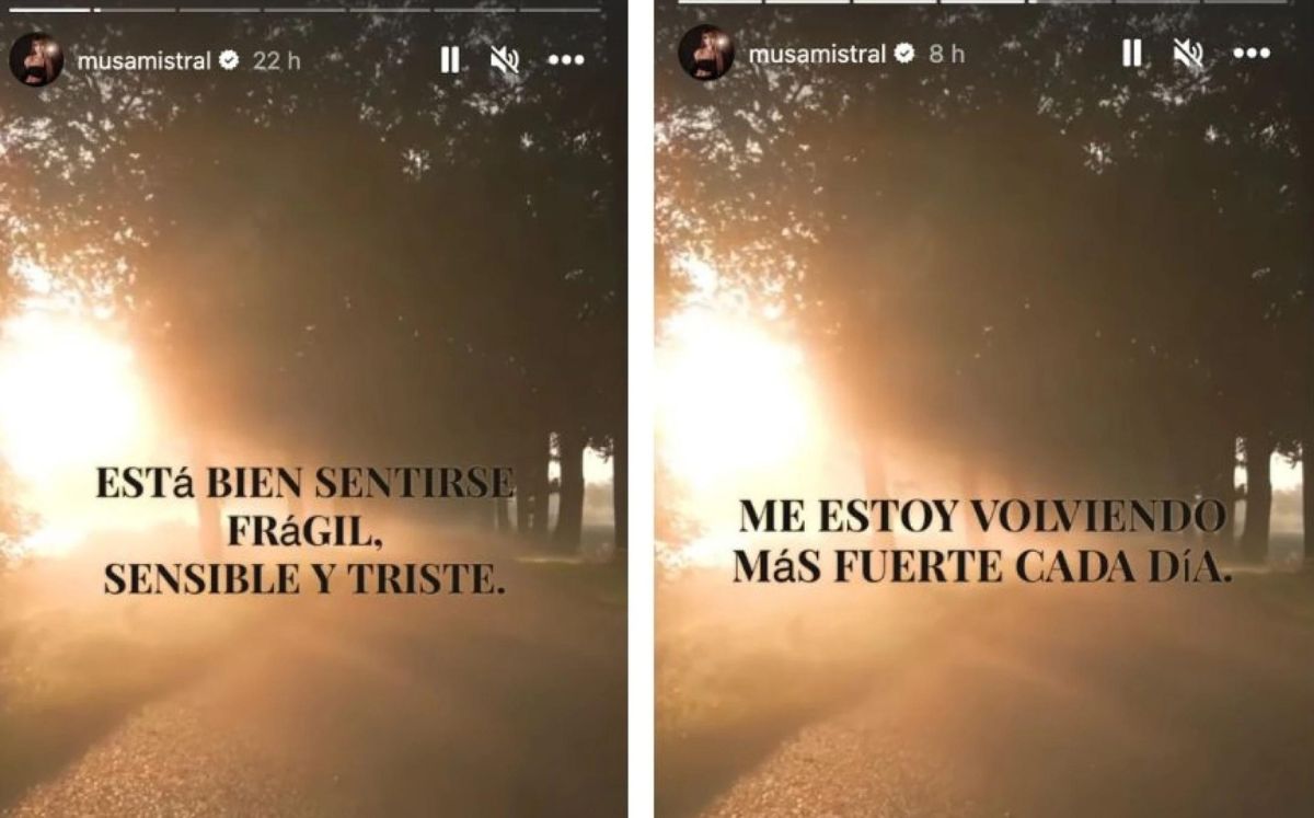 Marcela Mistral reacciona a rumores de divorcio con Poncho de Nigris (Instagram)