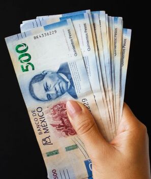 Seguro de desempleo CDMX: Requisitos que debes cumplir (Freepik)