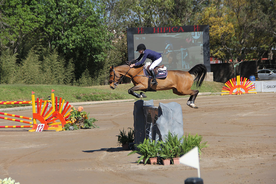 Z. Salto