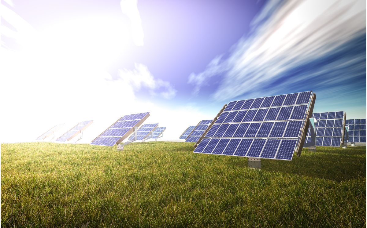 CFE: Tipos de paneles solares y cómo conseguirlos (Foto: Freepik)