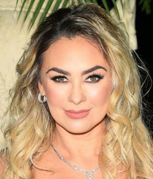 Aracely Arámbula alerta tras accidente de su sobrina; ¿qué le pasó? (Getty Images/ Instagram)