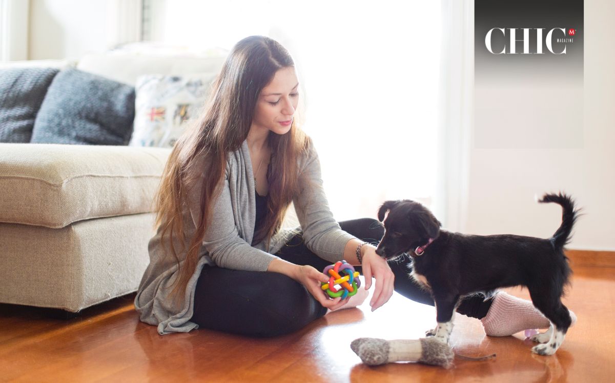 Lo que debes saber antes de llevar un cachorro a casa (Foto: Getty)