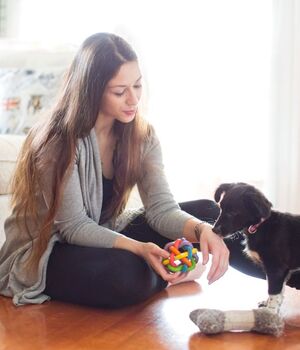 Lo que debes saber antes de llevar un cachorro a casa (Foto: Getty)