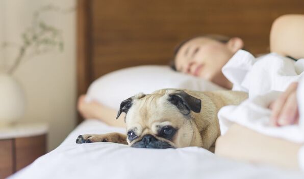 ¿Es dañino dormir mucho? Esto es lo que debes saber si duermes más de la cuenta: pexels