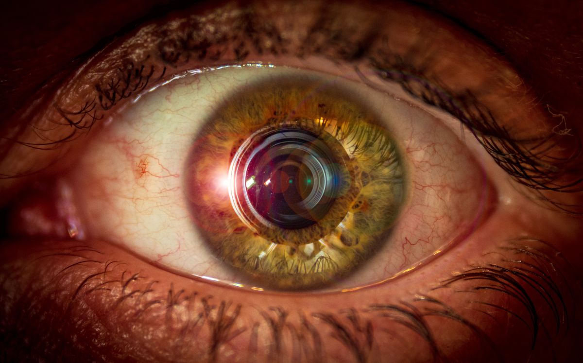 Escaneo de iris: pagan miles; ¿Cuáles son sus riesgos? (Freepik)